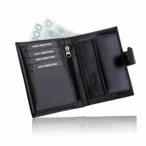 Skórzany portfel męski Betlewski BASIC BPM-DZ-65